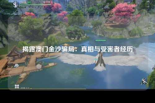 揭露澳门金沙骗局：真相与受害者经历
