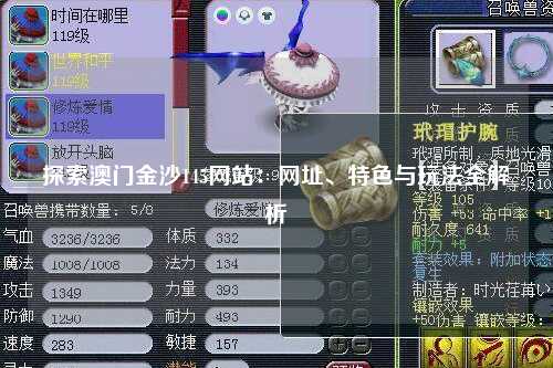 探索澳门金沙145网站：网址、特色与玩法全解析