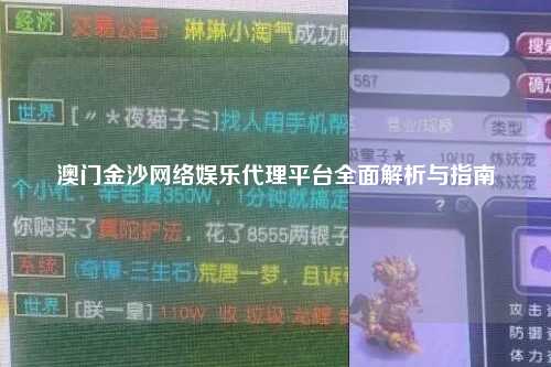 澳门金沙网络娱乐代理平台全面解析与指南