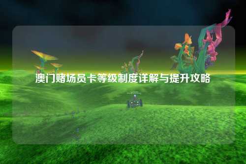 澳门赌场员卡等级制度详解与提升攻略