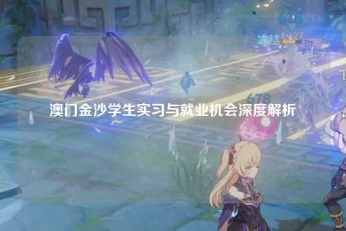 澳门金沙学生实习与就业机会深度解析