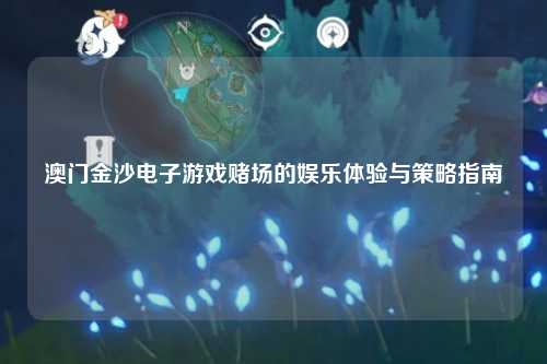 澳门金沙电子游戏赌场的娱乐体验与策略指南