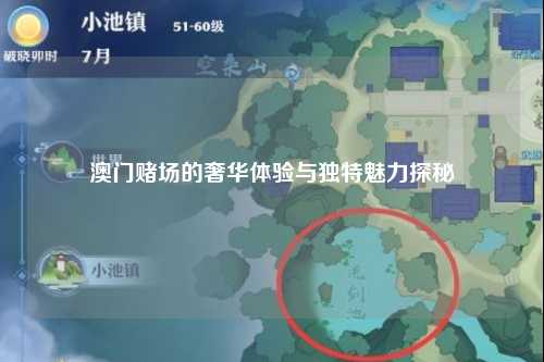 澳门赌场的奢华体验与独特魅力探秘