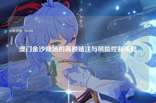 澳门金沙赌场的高额赌注与风险控制策略