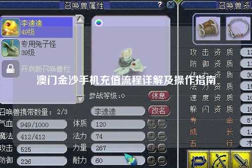 澳门金沙手机充值流程详解及操作指南