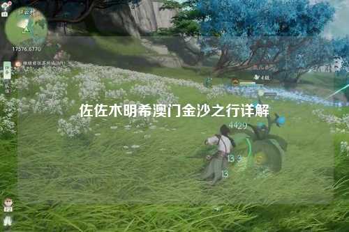 佐佐木明希澳门金沙之行详解