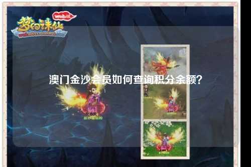 澳门金沙会员如何查询积分余额？